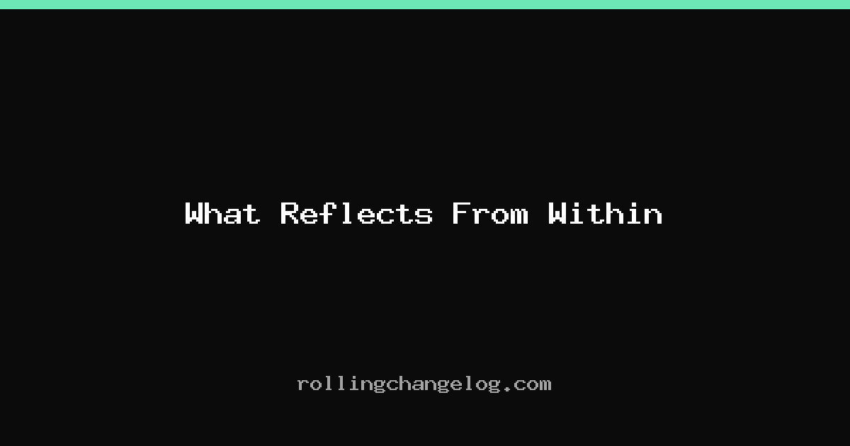What Reflects From Within cover
