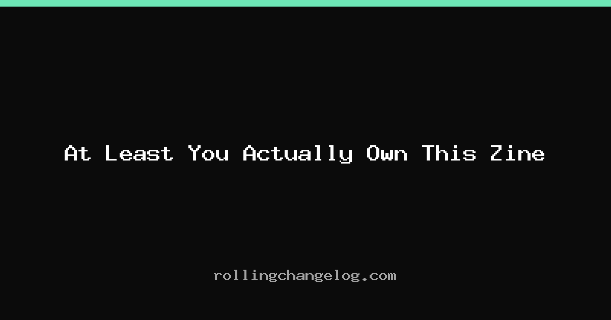 At Least You Actually Own This Zine cover