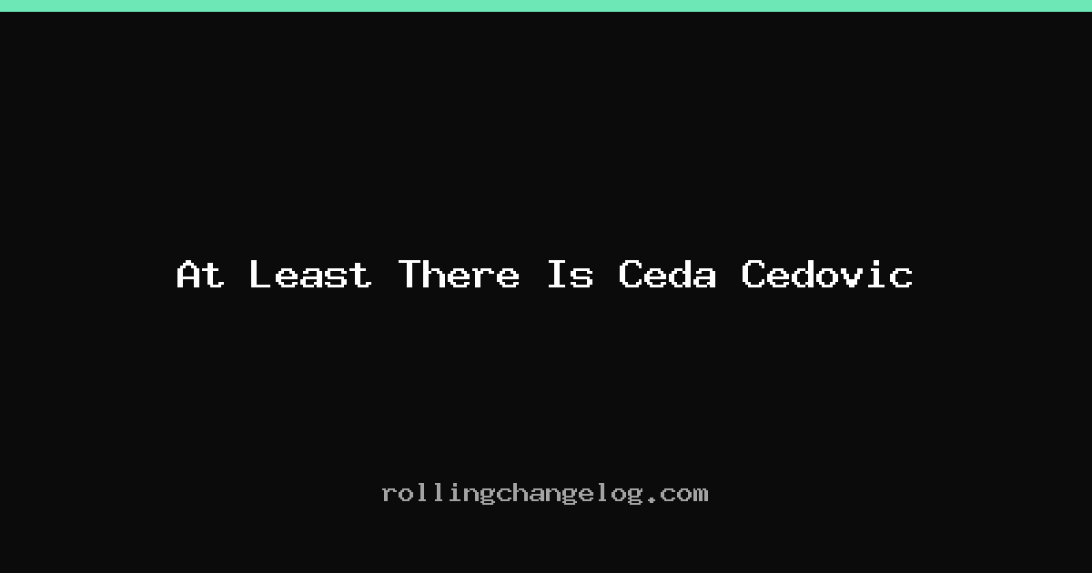 At Least There Is Ceda Cedovic cover