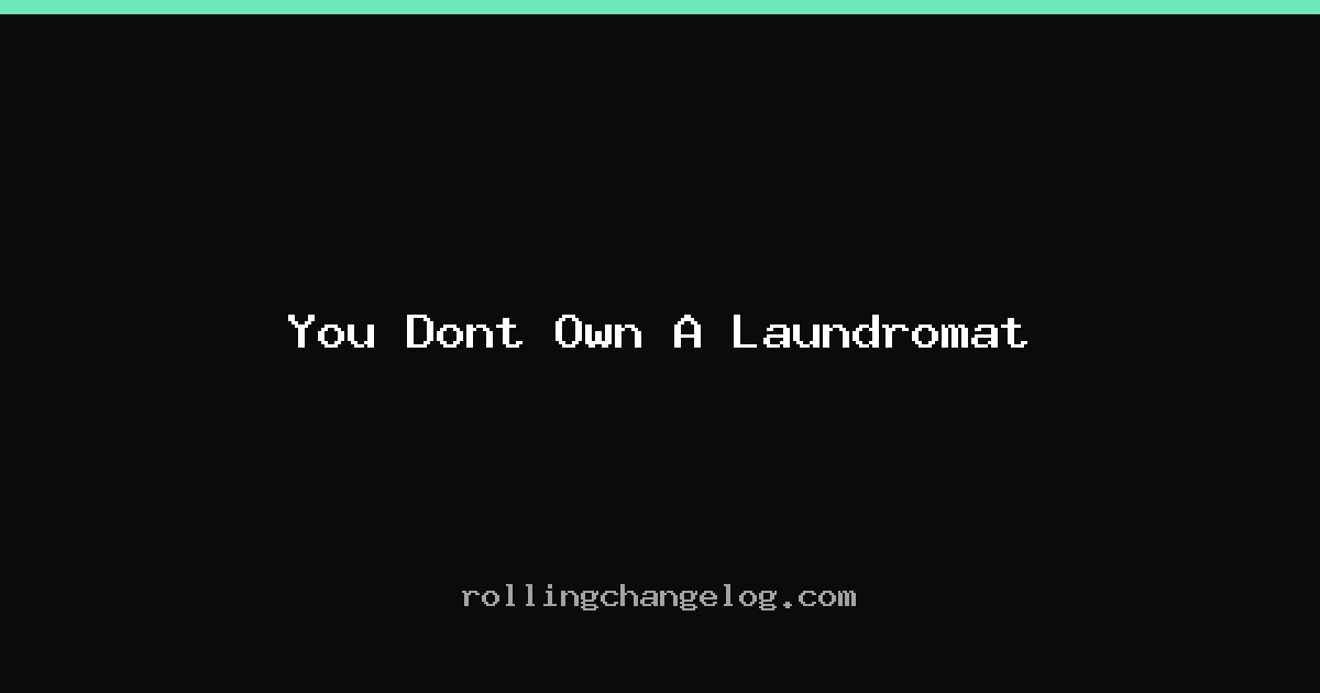 You Dont Own A Laundromat cover